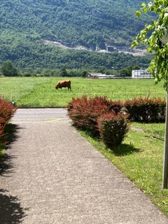 /international/ch/via-quinta-47-biasca-ticino-310106856541/