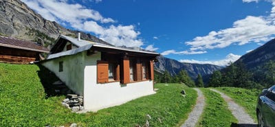 /international/ch/diolly-diolly-saviese-valais-310102037239/
