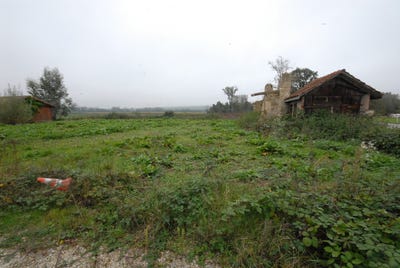 /international/ch/chemin-du-bey-2-avenches-vaud-310100934527/