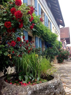 /international/ch/fontaines-sur-grandson-vaud-310108563140/
