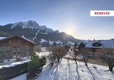 /international/ch/rougemont-vaud-310105338370/