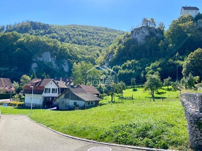 /international/ch/burg-im-leimental-basel-landschaft-canton-310104334152/