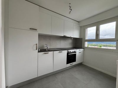 /international/ch/chemin-de-la-planchette-13-aigle-vaud-310108045662/