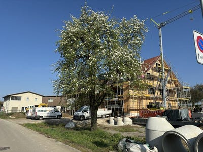 /international/ch/sunneggstrasse-4-amlikon-bissegg-thurgau-310107371328/
