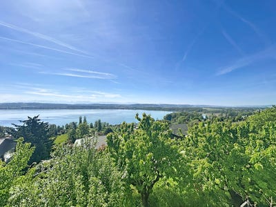 /international/ch/vully-les-lacs-vaud-310107644207/