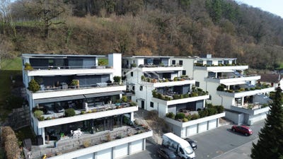 /international/ch/gampelen-canton-of-bern-310108808436/