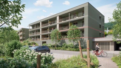 /international/ch/gemsacker-bockten-basel-landschaft-310104167112/
