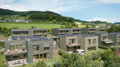 /international/ch/gemsacker-bockten-basel-landschaft-310104167496/