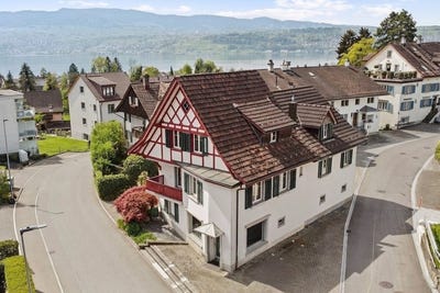 /international/ch/rainstrasse-79-stafa-zurich-310108046785/