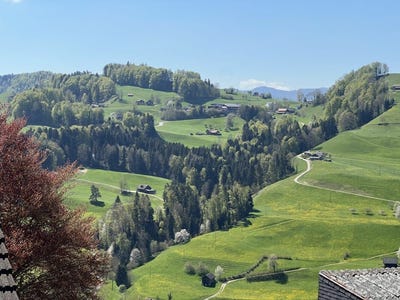 /international/ch/ochsenweg-mogelsberg-st-gallen-310105298033/