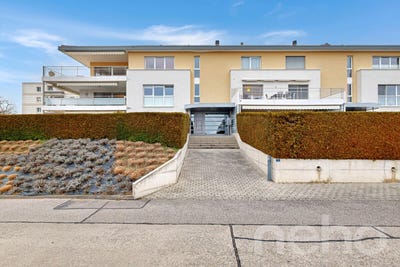 /international/ch/mont-sur-rolle-mont-sur-rolle-vaud-310105264237/