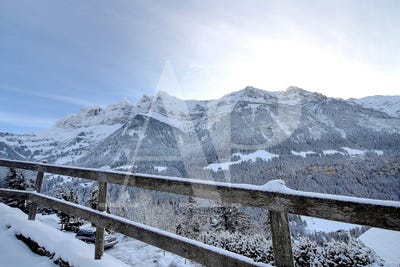 /international/ch/champery-valais-310108862212/