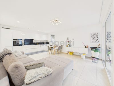 /international/ch/claro-ticino-310108456418/