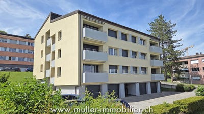 /international/ch/chemin-de-penchevre-25-orbe-vaud-310108484267/