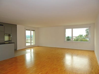 /international/ch/gschwaderstr-52-uster-zurich-310108260739/