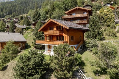 /international/ch/grimentz-valais-310108759626/
