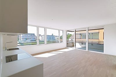 /international/ch/steinbuhlweg-68-allschwil-lucerne-310108758441/