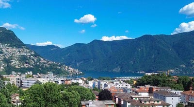 /international/ch/massagno-ticino-310100910491/