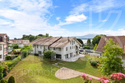 /international/ch/mies-vaud-310101017646/