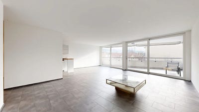 /international/ch/altenmatteweg-7-arlesheim-basel-landschaft-310105738883/