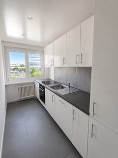 /international/ch/rue-peillonnex-40-chene-bourg-geneva-310108049517/