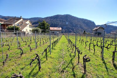 /international/ch/aigle-vaud-310101017991/