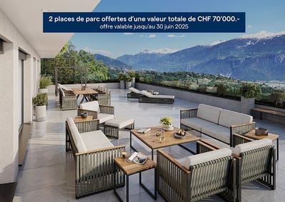 /international/ch/route-de-monteiller-47-saviese-valais-310100903705/?lang=zh-cn