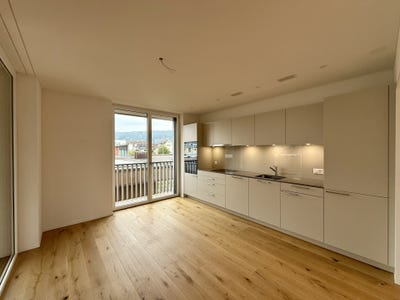 /international/ch/baselstrasse-9c-dagmersellen-lucerne-310108134156/