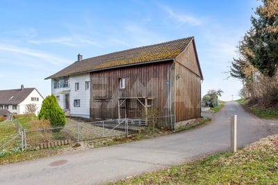 /international/ch/zuben-zuben-thurgau-310108728586/