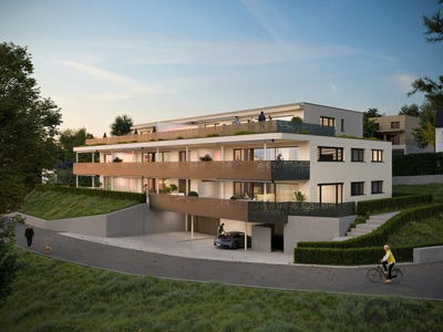 /international/ch/zilstrasse-42-granichen-aargau-310108004176/