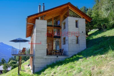 /international/ch/sentier-des-grand-praz-11-st-luc-valais-310107944612/