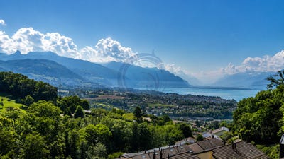/international/ch/praz-maigroz-7-jongny-vaud-310108591816/