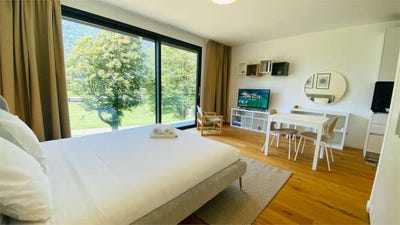 /international/ch/bellinzona-ticino-310104226906/