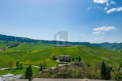 /international/ch/le-locle-canton-of-neuchatel-310108643908/