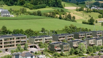 /international/ch/gemsacker-bockten-basel-landschaft-310104167874/