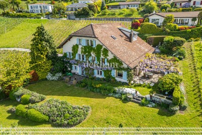 /international/ch/dans-un-cadre-unique-lutry-vaud-310103745416/