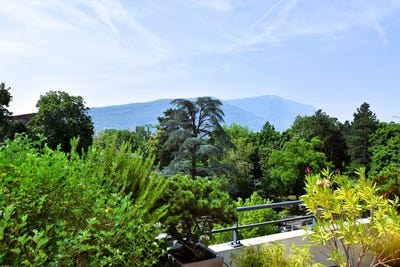 /international/ch/rue-de-graman-50-1241-puplinge-switzerland-puplinge-geneva-310101323731/?lang=zh-cn