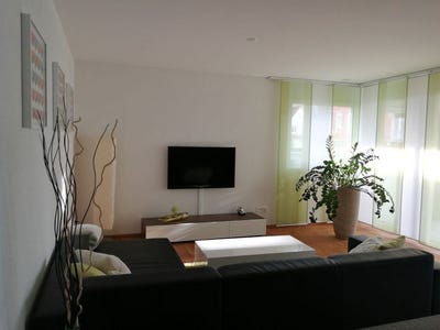 /international/ch/neuhofstrasse-78-romanshorn-thurgau-310107522364/