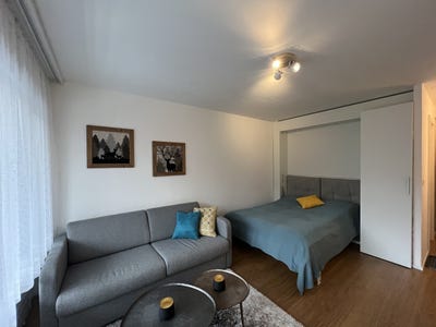 /international/ch/rue-du-petit-vallon-30-crans-montana-valais-310105911668/