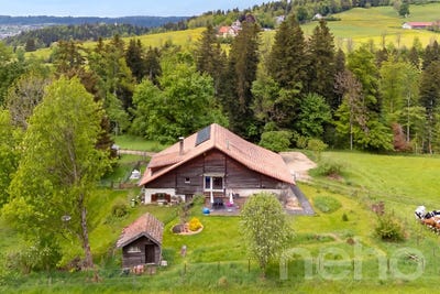 /international/ch/le-locle-le-locle-canton-of-neuchatel-310108481178/