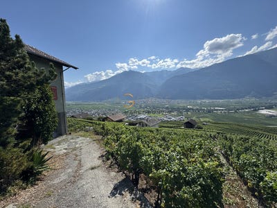 /international/ch/produit-leytron-produit-leytron-valais-310109075496/