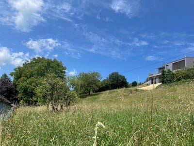 /international/ch/liesberg-dorf-liesberg-dorf-basel-landschaft-canton-310103487193/