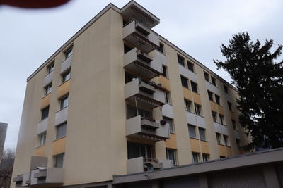 /international/ch/glis-glis-valais-310105651686/