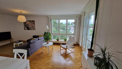 /international/ch/zurich-zurich-310108757118/