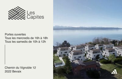/international/ch/chemin-du-vignoble-12-bevaix-canton-of-neuchatel-310108668245/?lang=it