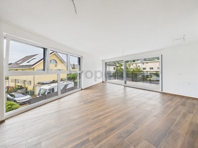 /international/ch/menziken-aargau-310101227128/