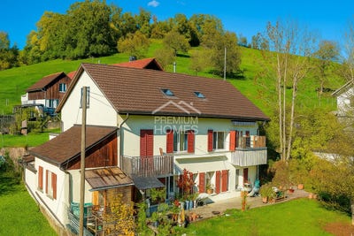 /international/ch/selzach-canton-of-solothurn-310107766156/