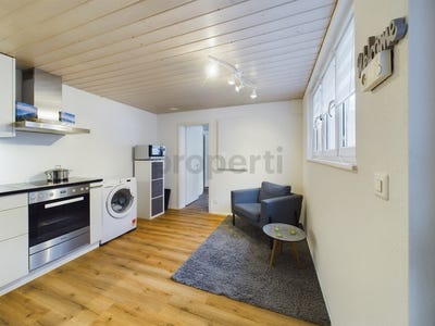 /international/ch/alpnach-dorf-obwalden-canton-310101274557/?lang=zh-tw