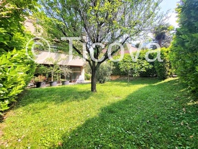 /international/ch/melano-ticino-310104562871/
