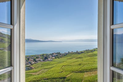 /international/ch/bourg-en-lavaux-vaud-310109018412/